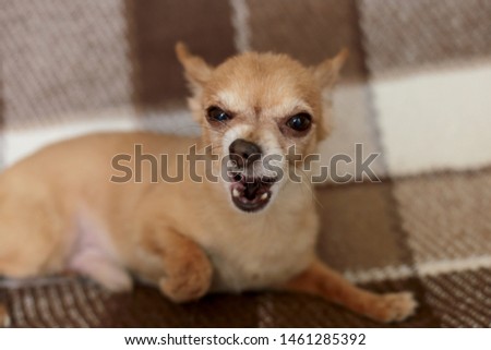 Shutterstock Puzzlepix