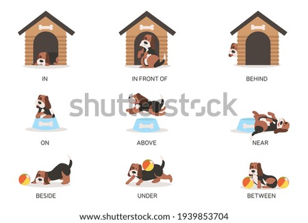 Set of nine English prepositions as shown by a cute cartoon dog undertaking a variety of actions with text below, collection of flat cartoon colored vector illustrations isolated on white background