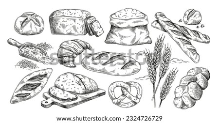 Bakery products set. Sketch with bread and bun, flour and wheat, loaf and bagel in hand drawn style. Farm, agriculture and cereals concept. Linear flat vector collection isolated on white background
