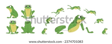Funny Jumping Frog. Cartoon animation sequence. Side and front view of cute aquatic animal. Jump process elements. Isolated on white moving green toad. Set of vector illustrations for animation