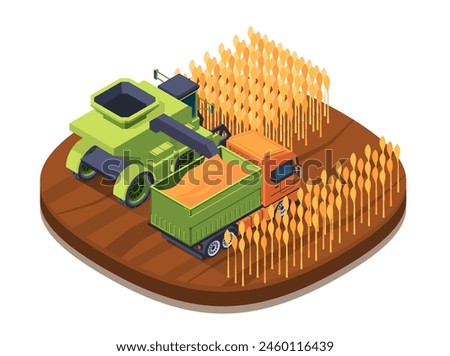 Isometric illustration of a combine harvester and truck in a wheat field, on a plain background, depicting agriculture. vector illustration