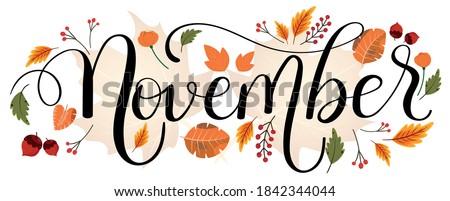 HELLO NOVEMBER. November month vector hand lettering with flowers and leaves. Floral decoration text. Decoration letters, Illustration November. Foto d'archivio © 