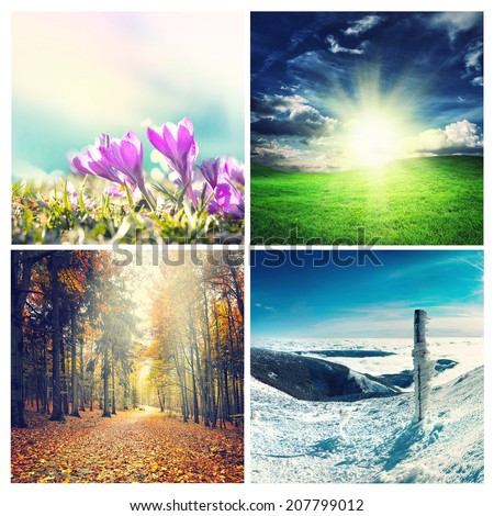 four seasons collage, several images of beautiful natural landscapes at different time of the year - winter spring, summer, autumn,