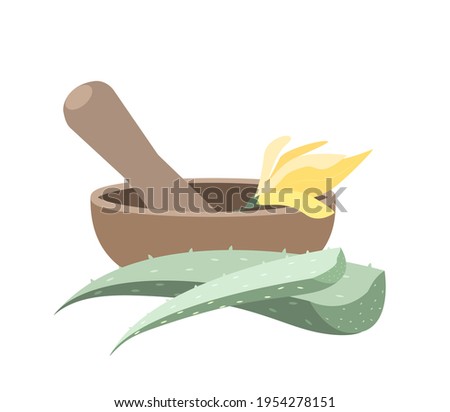 Mortar and Pestle set for mixing herbs,Aloe Vera,Champaka Flowers Essence.Grinding fresh Plants in bowl.Prepare Organic Lotion with Natural Ingredients.Vector illustration isolated on white background Stock fotó © 