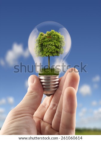 Hand holding light bulb with the green tree inside,for green energy, ecology themes