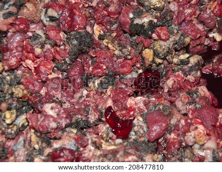 Dog food mixed flesh from a cow raw