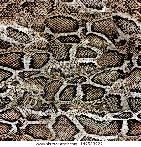 snake skin texture seamless pattern design 