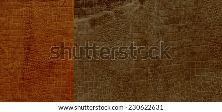 Set of brown crocodile suede leather texture for background