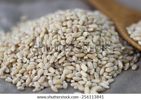 Pearl barley. selective focus