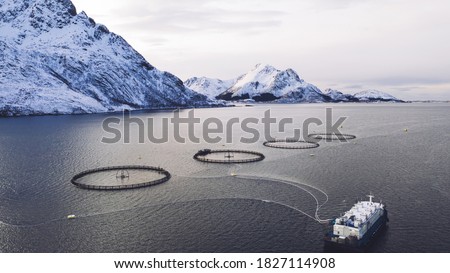 Salmon fish farming in Norway sea. Food industry, traditional craft production, environmental conservation. Aerial view of round mesh for growing and catching fish in arctic water surrounded by fjords