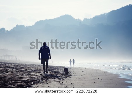 Silhouette of adult man walking on the sand, at cold evening mature man walking on the beach with his dog, amazing dark silhouette of mountains around bay, wet sand and sea breeze in cold color