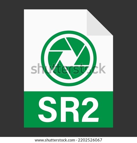 Modern flat design of SR2 file icon for web