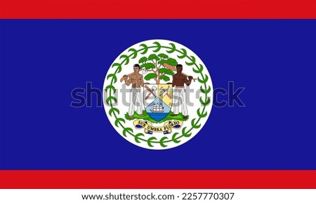 Belize flag simple illustration for independence day or election