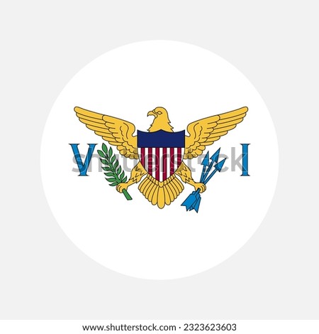 United States Virgin Islands flag simple illustration for independence day or election