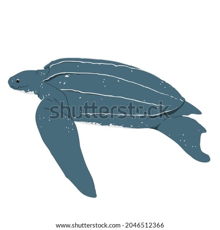 The best free Leatherback drawing images. Download from 24 free ...