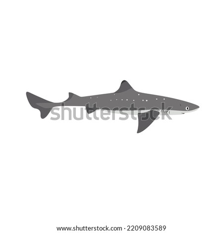 The spiny dogfish, Squalus acanthias is also known as spurdog, mud shark, and piked dogfish. 