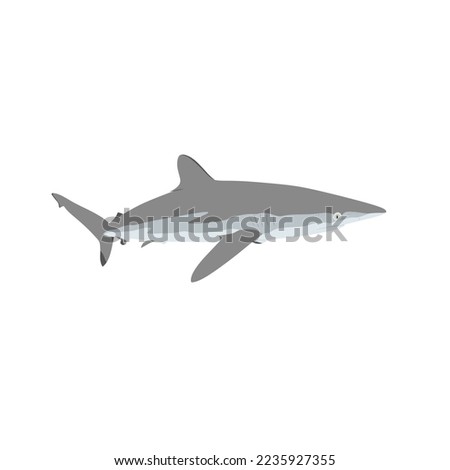 The silky shark, Carcharhinus falciformis, blackspot shark, gray whaler shark, olive shark vector design, png image