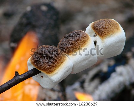 marshmallows toasting on a open campfire food