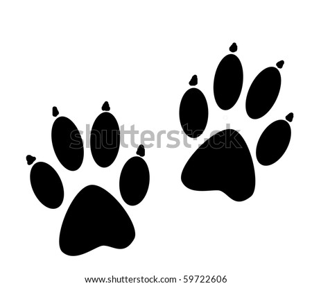 Animal Paws With Claws Stock Photo 59722606 : Shutterstock