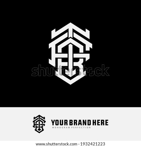 Initial letters F, T, B, FTB, FBT, TFB, TBF, BFT or BTF overlapping, interlock, monogram logo, white color on black background