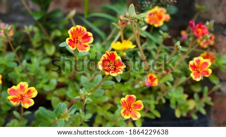 Shutterstock Puzzlepix Shutterstock Puzzlepix