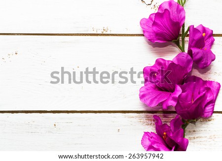 Purple gladiola flower on a white wooden planks background, greetings and invitations card