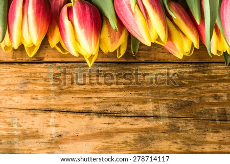 Tulips arrangement on a wood background for flowers backgrounds, birthday cards, mothers day, wedding invitation, greetings card and invitations card