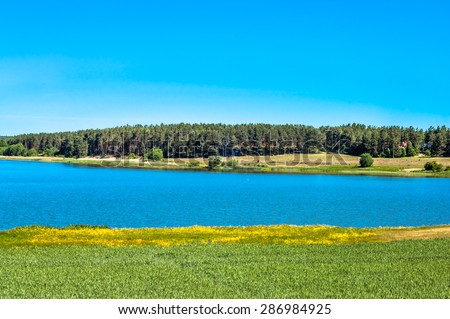 Landscape of fields of grain by the lake. Forest on the other side of the lake.