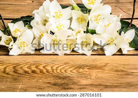 Jasmine flowers on wood background. Beautiful arrangement of flowers located on aged wooden planks vintage style useful as wallpaper, greeting card, invitation card, mothers day or wedding invitation.