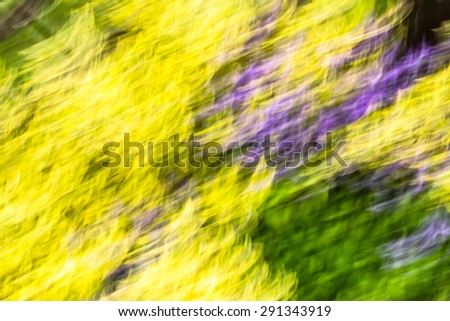 Photo of blurry abstract background, colorful summer garden with colorful flowers photographed on long exposure with motion effect.