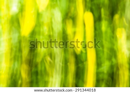 Photo of blurry abstract background, colorful summer garden with colorful flowers photographed on long exposure with motion effect.