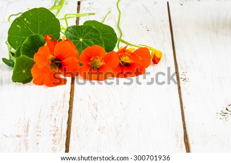 Background with flowers of nasturtium isolated on white wood background useful as greeting card or invitations card.