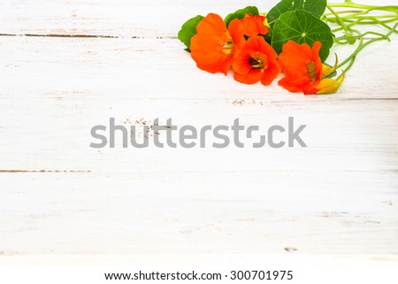 Floral backgrounds with flowers of nasturtium arranged on white wood useful as greeting card, mothers day card or invitations card