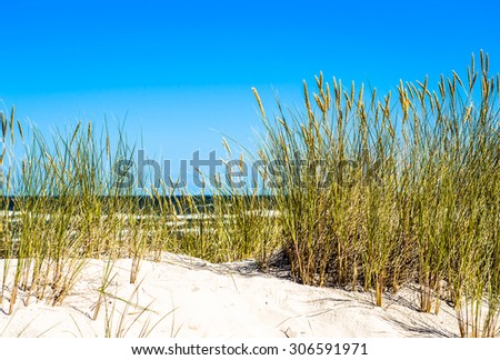 Landscape of sand dune and grass by the sea, summer blue sky, Leba, Baltic Sea, Poland, nature backgrounds.