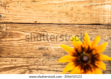 Defocused flower of rudbekia on wood background, shallow depth of field useful as greeting card or birthday card.