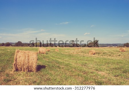 Vintage landscape showing straw bales on stubble field. Agricultural or rural landscape in summer photographed in Poland.