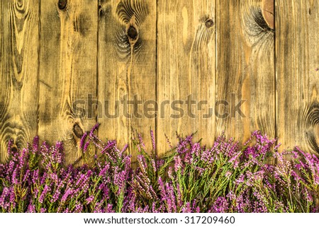 Flowers of heather in purple color from forest arranged on rustic wood background. Flowers background useful as greeting card, postcard or floral decorative background.