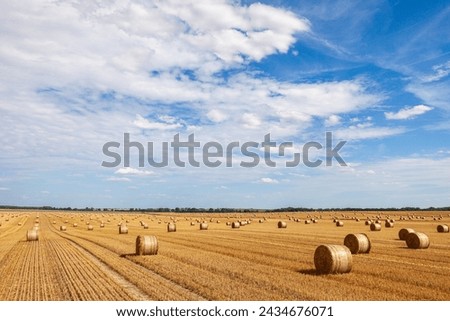 Similar – Image, Stock Photo Hay bales on field during a lightning storm. Dark and stormy landscape