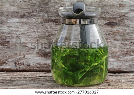 catnip herb tea