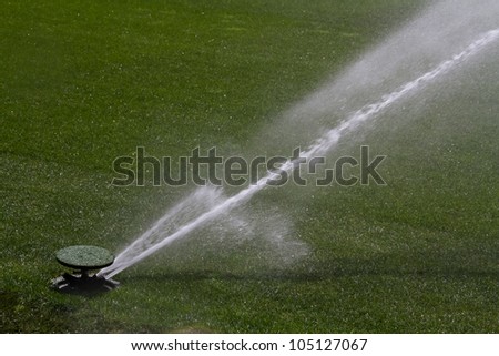 Sprinkler system washing green grasses
