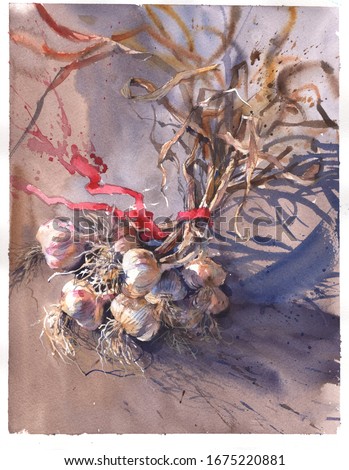 Still life painting of garlic in classical style drawing like old watercolor masters. Original watercolor for decorate wall in interior or create cards with invitation, congratulation postcard.