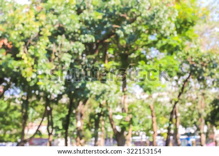 abstract blurred of nature park outdoor backgrounds:blur of park in the city in a day with sunny:blurry green environment backdrop conception:ecology concept:out of focus concept.environment concept.