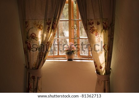 Sunny window sill with pot plant and curtains