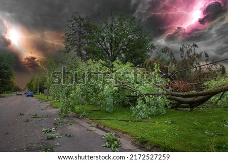 Similar – Image, Stock Photo After the storm