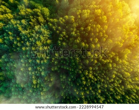 Image, Stock Photo Aerial View Of Misty Autumn Field And Forest Landscape. Top View Of Empty Clean Field In Sunny Sunrise Morning. Drone View  Bird’s Eye View. High Attitude