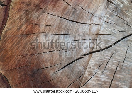 a pice of wood ised by artist to made wood sculpture and used too used by carpenters for furniture Photo stock © 
