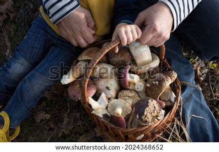 Similar – Foto Bild Frische Champignons in Weidenschale