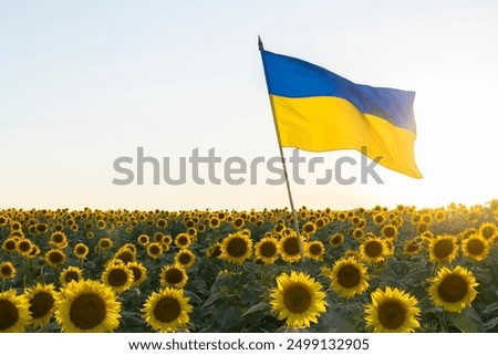 Similar – Foto Bild Peacesymbol auf ukrainischer Flagge