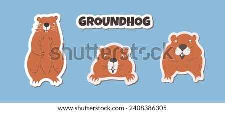 Set stickers Marmot. Cute wild animals. Brown groundhogs. Flat vector illustration of a groundhog isolated