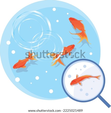 Similar – Image, Stock Photo goldfish swimming in a fishbowl on white background,